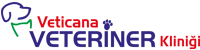 Veticana